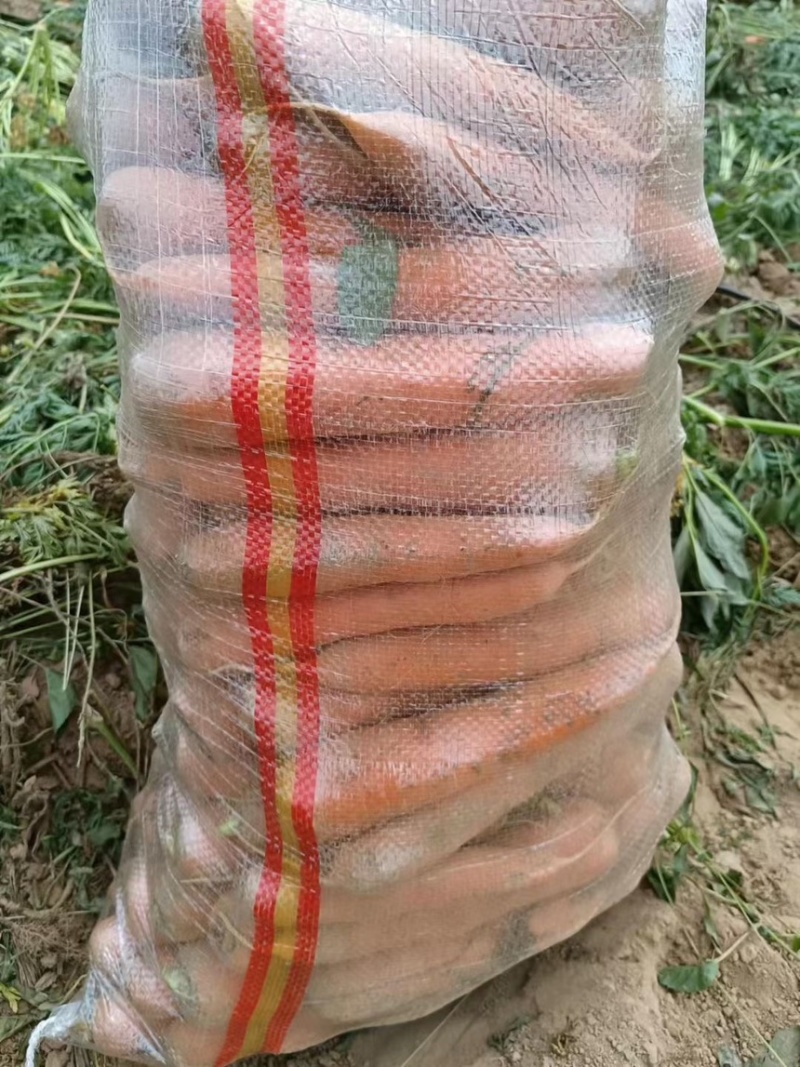 精品胡萝卜，基地种植，有市场电商加工厂养殖都有货