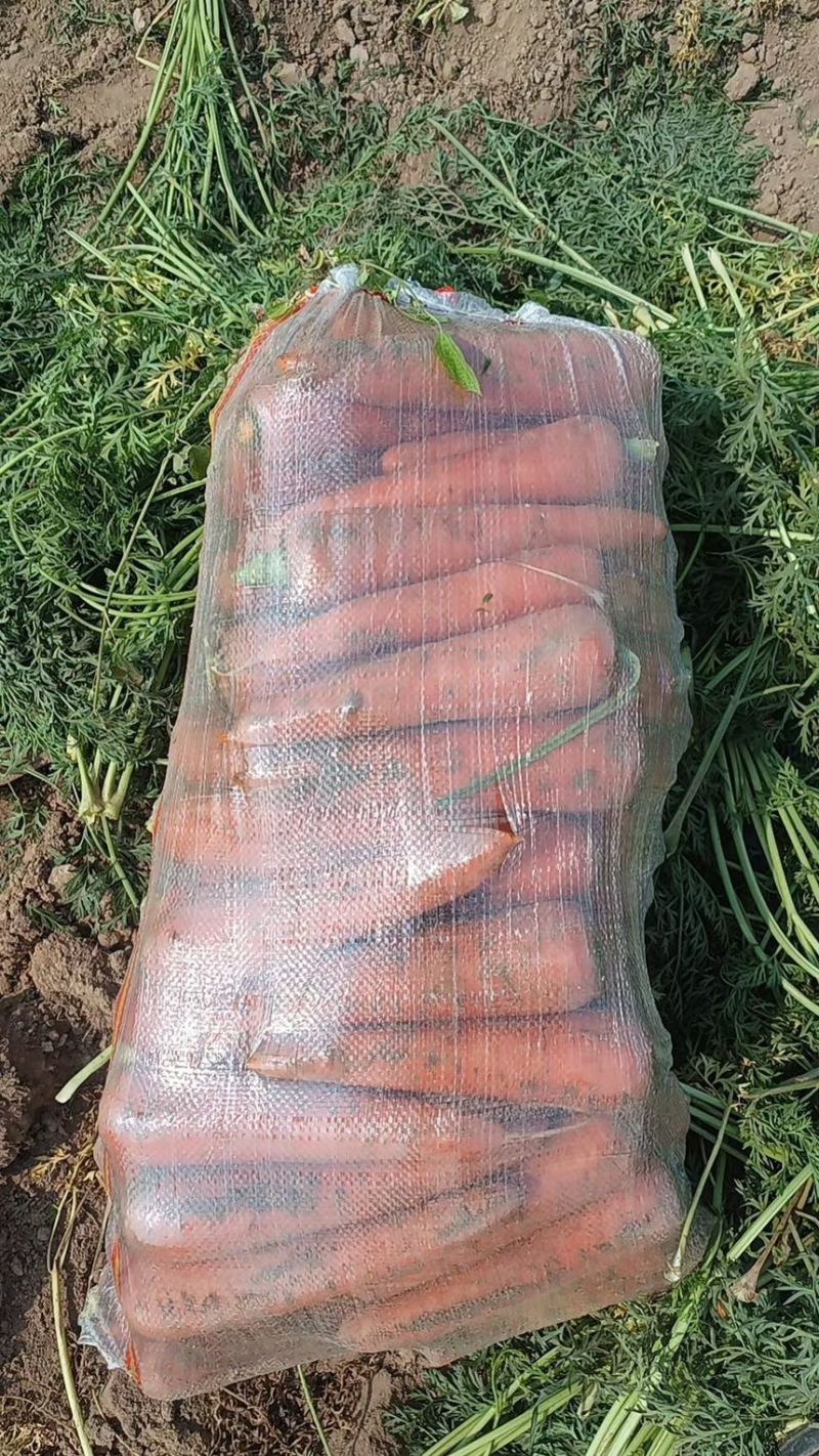 精品胡萝卜，基地种植，有市场电商加工厂养殖都有货