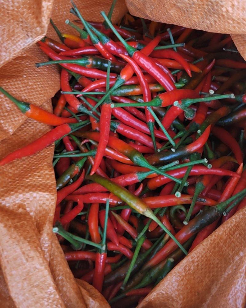 鲜辣椒