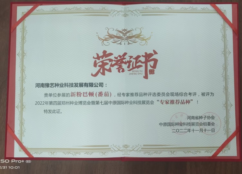 番茄种子耐高温抗T丫口感好新粉巴顿无限生长型