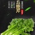 章丘鲍芹新鲜蔬菜高品质五星酒店大型商超，品质保证欢迎采购