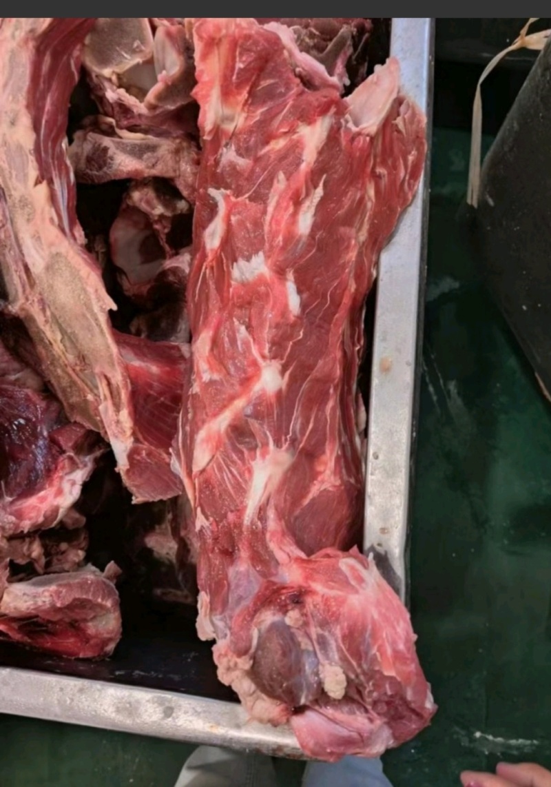 牛脖骨，满肉牛脖骨，量大质优价格优惠欢迎咨询采购