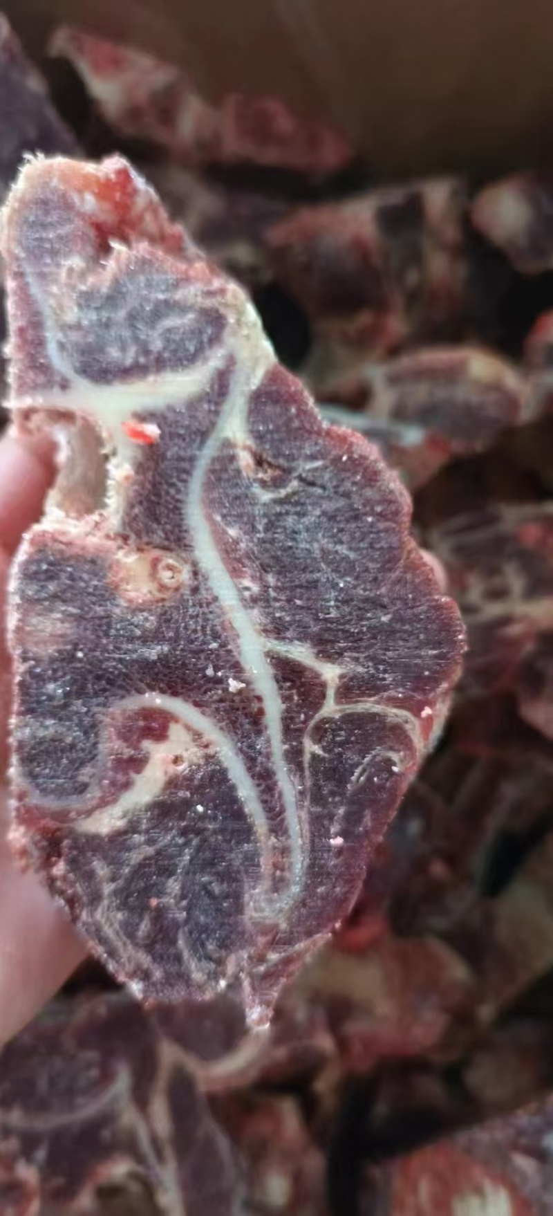 牛脖骨，满肉牛脖骨，量大质优价格优惠欢迎咨询采购