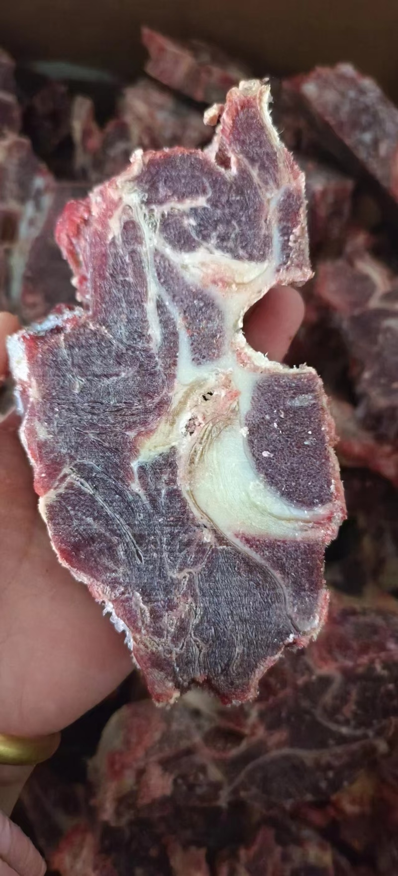牛脖骨，满肉牛脖骨，量大质优价格优惠欢迎咨询采购