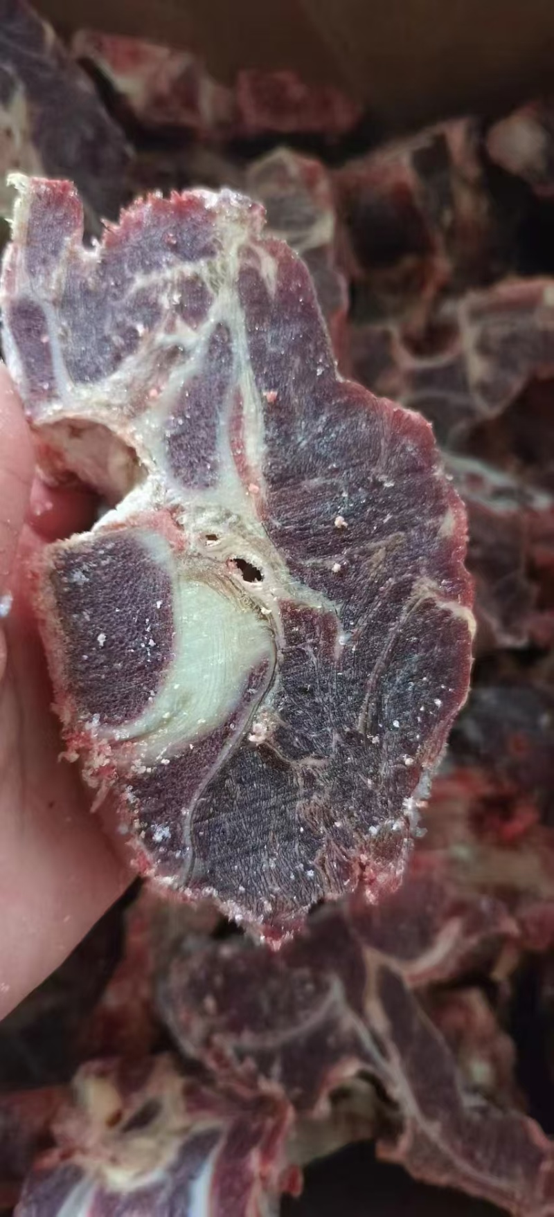 牛脖骨，满肉牛脖骨，量大质优价格优惠欢迎咨询采购