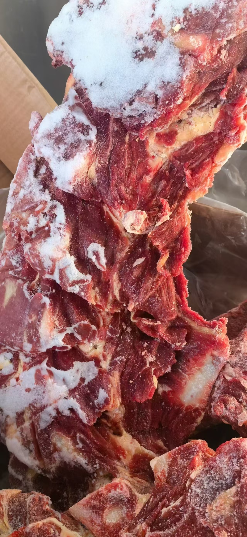 牛脖骨，满肉牛脖骨，量大质优价格优惠欢迎咨询采购