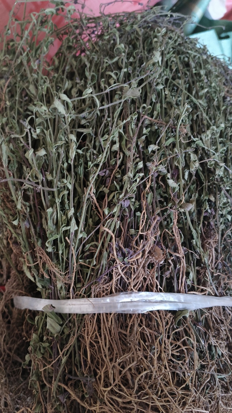 半枝莲