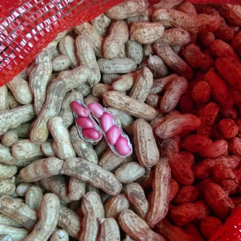 品质鲜花生品质保证欢迎仔细量大从优欢迎咨询