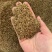 纯无硫蛇床子，货真价实，质量保证，可大货供应