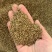 纯无硫蛇床子，货真价实，质量保证，可大货供应