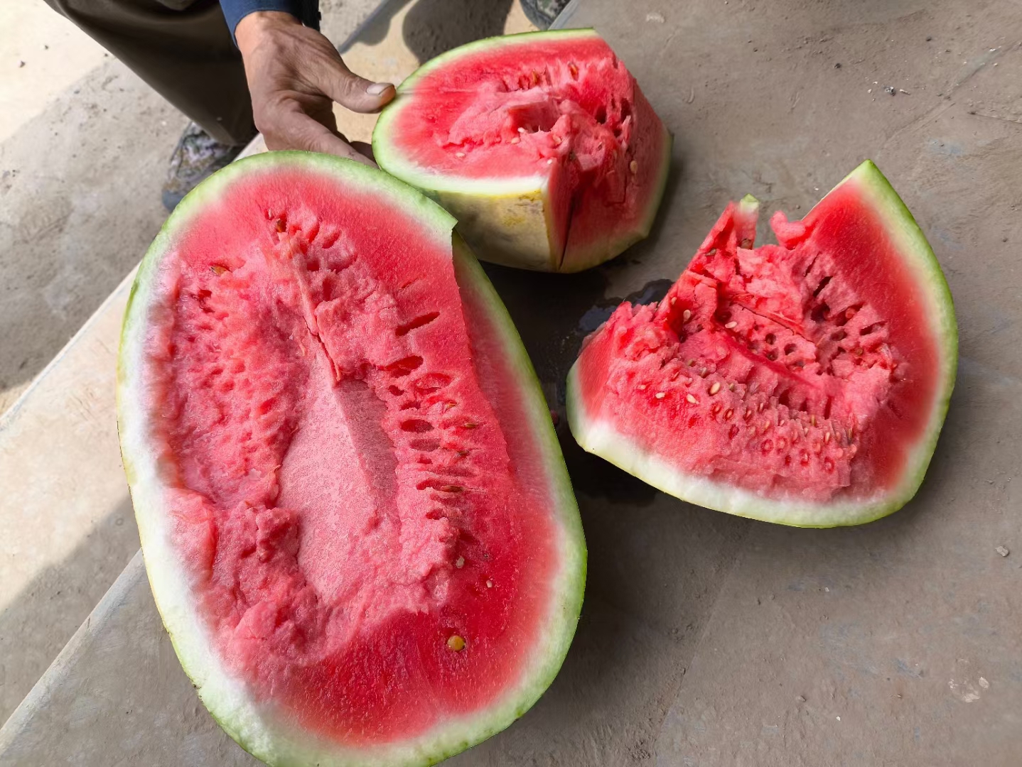 新鲜红瓤西瓜被切成三角形,背景为冰块和夏季水果 夏日清凉的西瓜切片