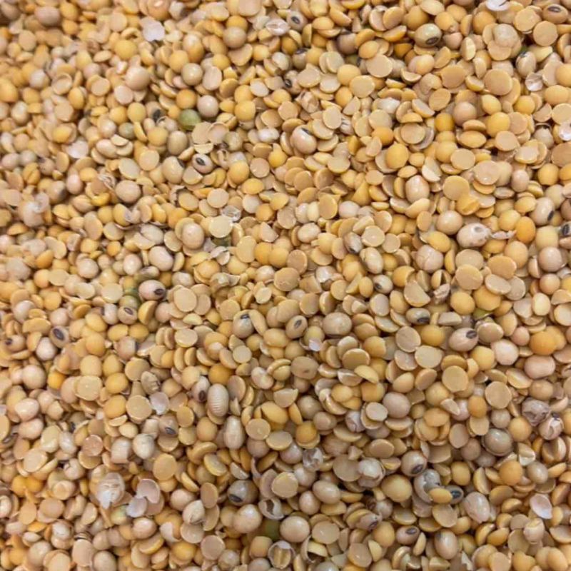 上地施肥豆，养殖饲料豆