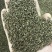 选货地肤子，货真价实，符合国家药典，有大货
