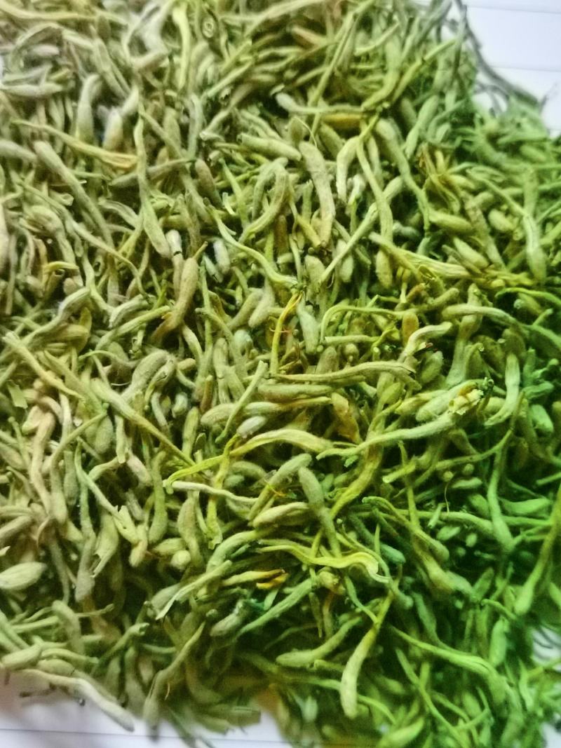 【实力】金银花，产地一手货源，保质保量，量大价优