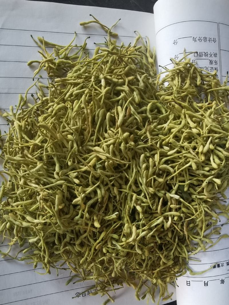 【实力】金银花，产地一手货源，保质保量，量大价优