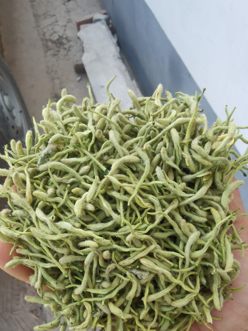 【实力】金银花，产地一手货源，保质保量，量大价优