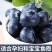 蓝莓新鲜上市，莱克西蓝莓大量供应货源充足，支持全国发货