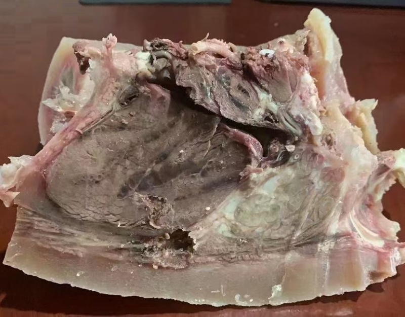 牛头肉，熟牛头肉，五香牛头肉，纯干熟牛头肉