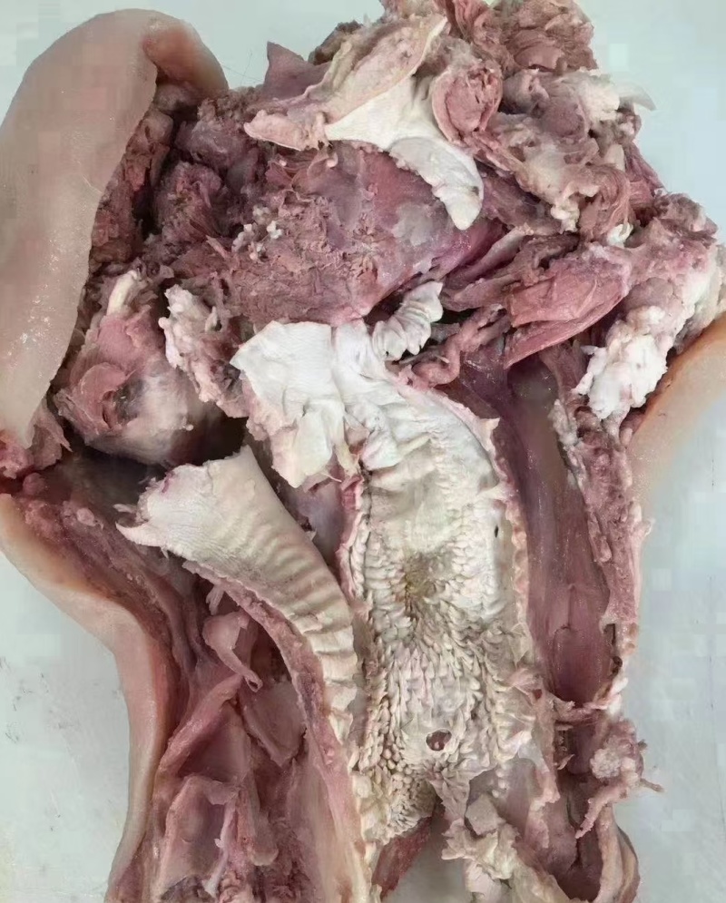 牛头肉，熟牛头肉，五香牛头肉，纯干熟牛头肉