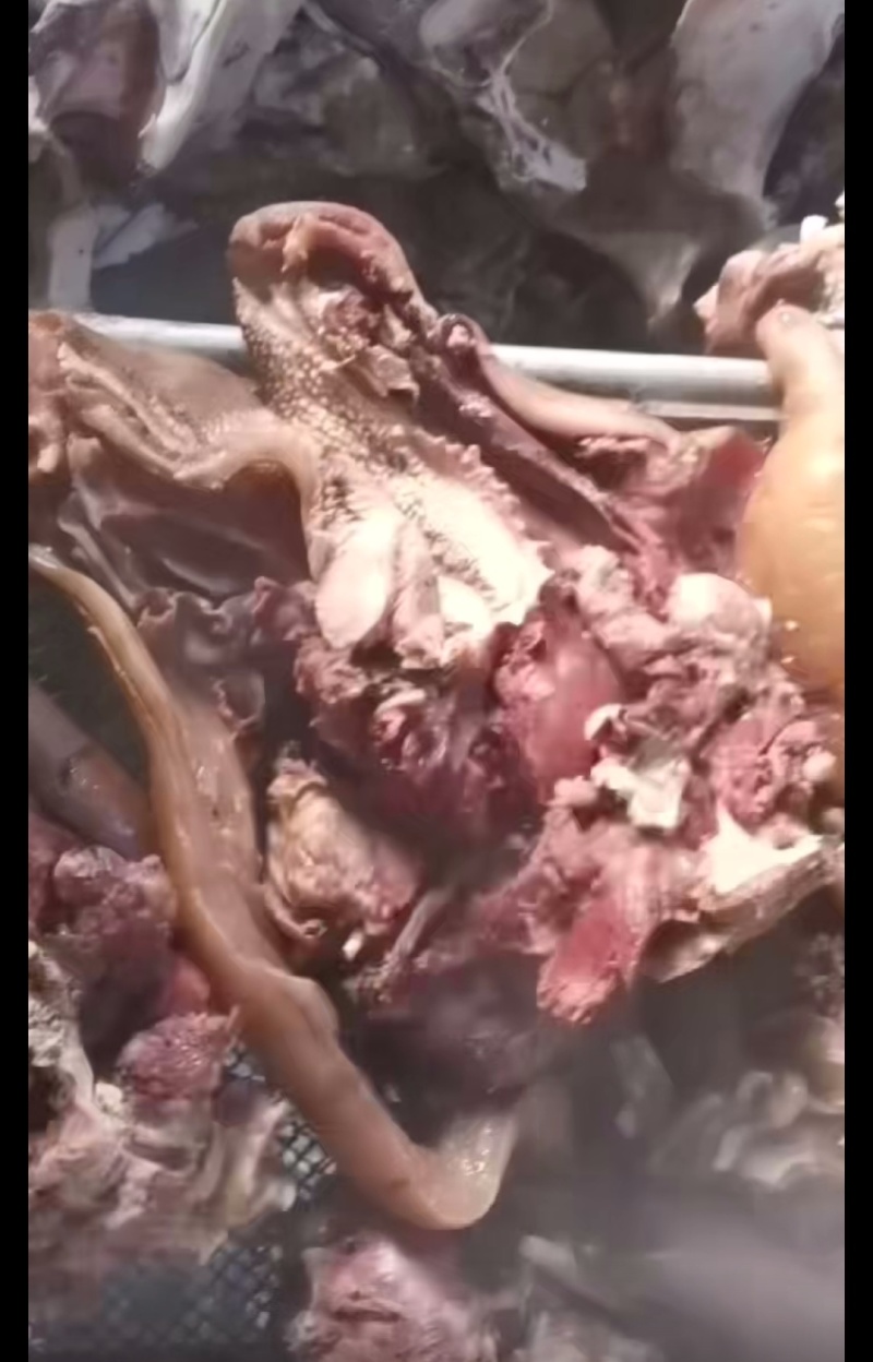 牛头肉，熟牛头肉，五香牛头肉，纯干熟牛头肉
