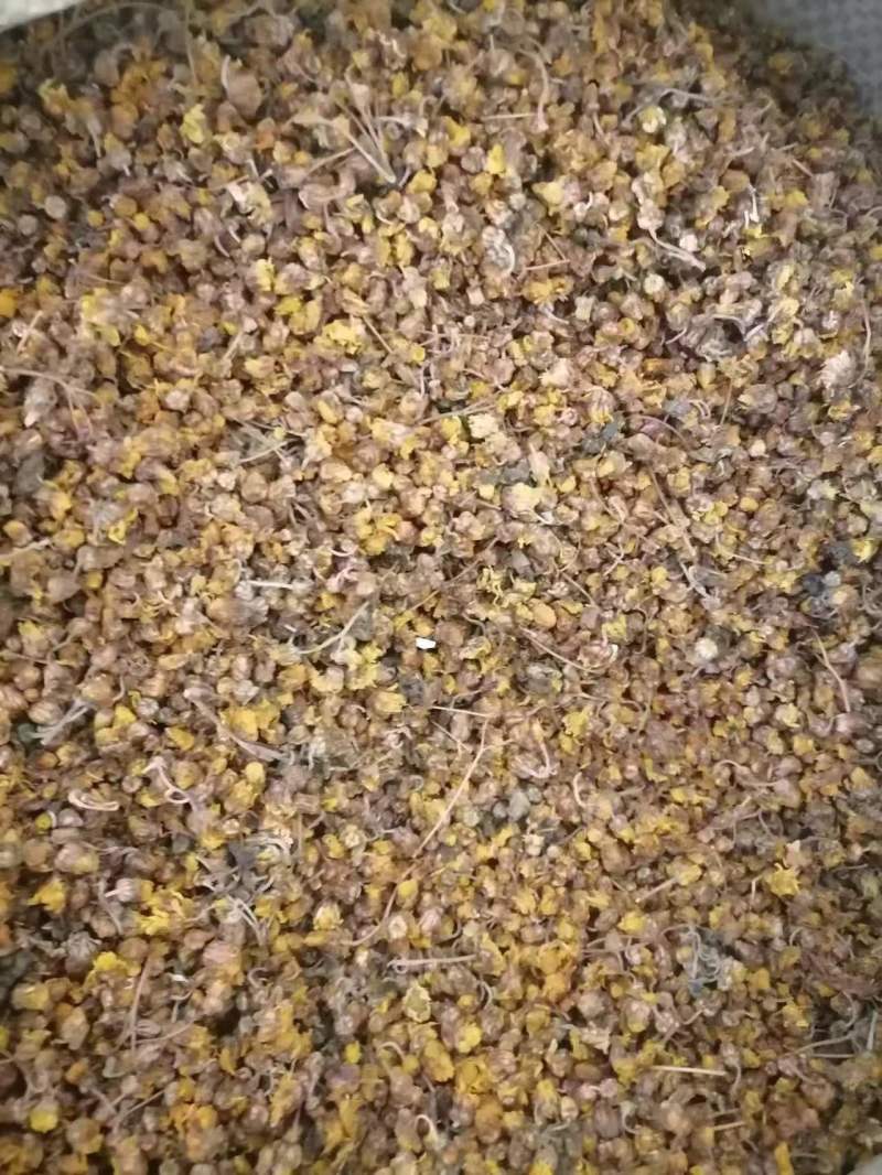 良药菊花野菊花产地直发，质量保证货源充足欢迎选购