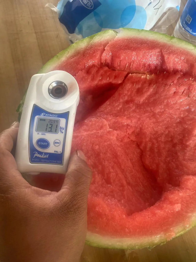 精品麒麟西瓜货源充足量大从优质量保证欢迎咨询