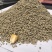 种鸭种鹅开口料破碎粒料