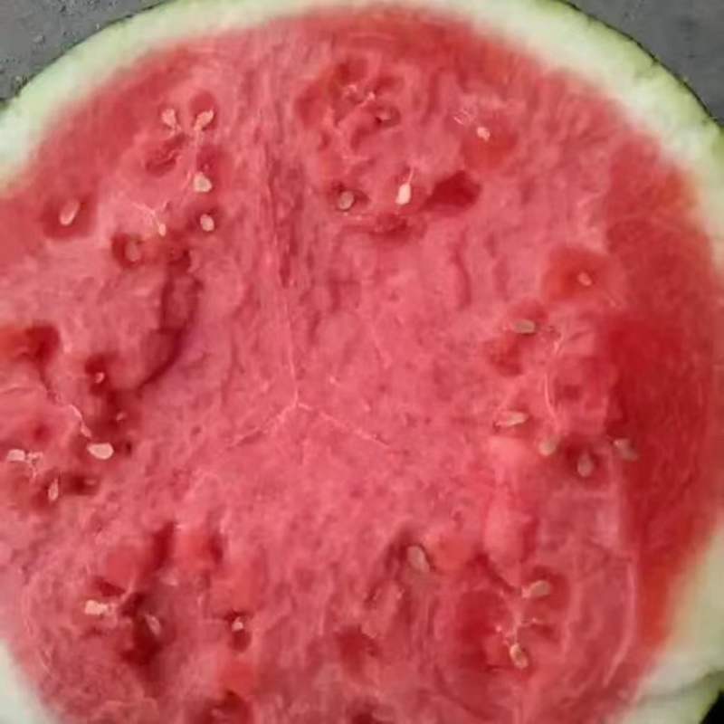 湖北精品黑无籽瓜，洞庭一号西瓜，货量充足，产地一手货源
