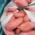 河南通许沙地西瓜红红薯表皮干净暑行漂亮无擦伤按要求分拣