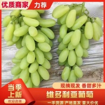 维多利亚葡萄青提葡萄自家种植基地串好口感好