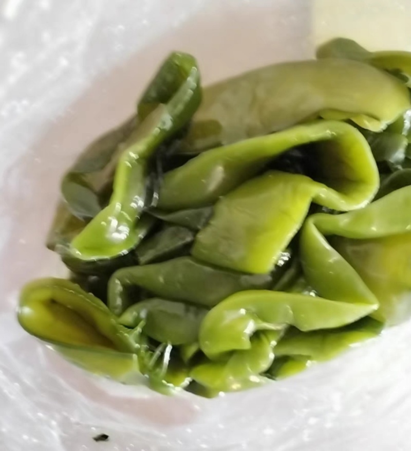 裙带菜