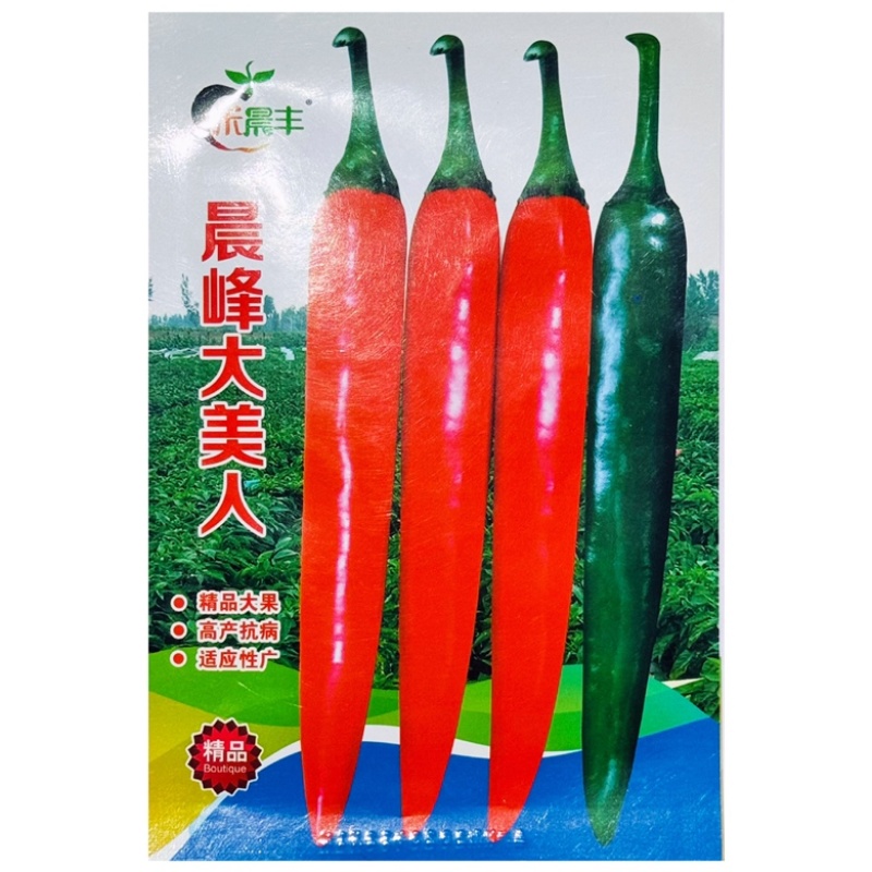 月丰皱皮辣椒种子，一代杂交品种抗病性强高产品种种子