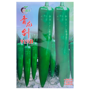 青龙剑大果牛角椒品种，早熟杂交一代种子