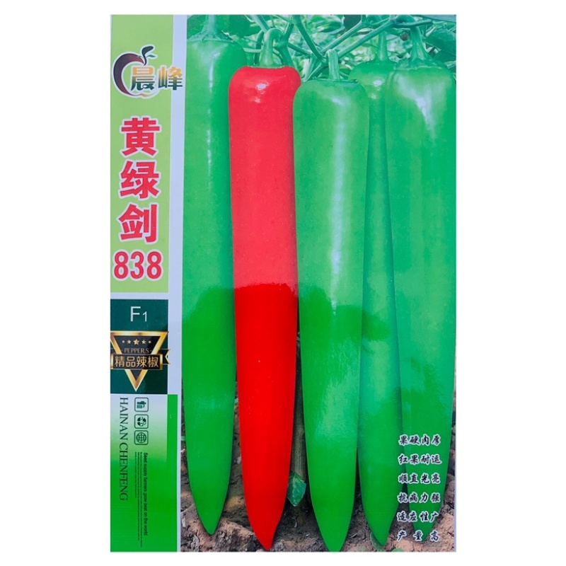 青龙剑大果牛角椒品种，早熟杂交一代种子