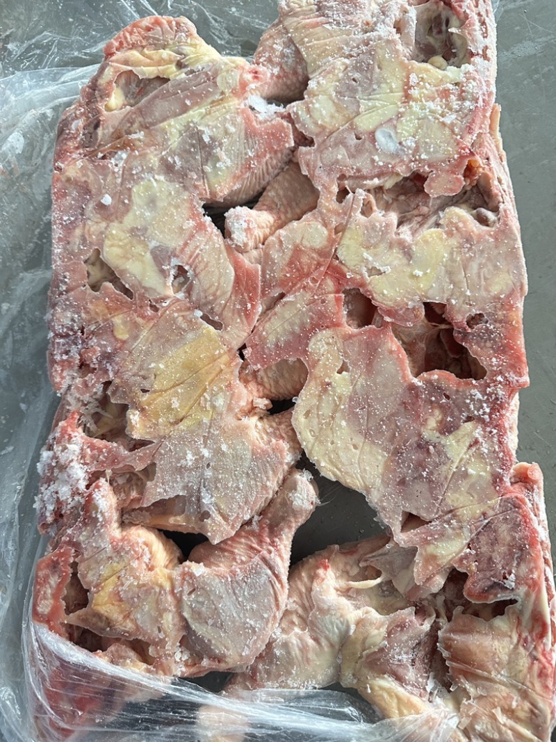 老鸡种鸡边腿现货现发