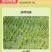 海纳拳克25%吡蚜酮悬浮剂水稻稻飞虱农药杀虫剂