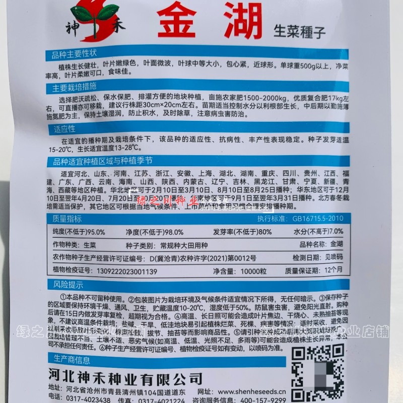 结球生菜种子圆球生菜种籽春秋蔬菜种子生吃圆生菜种子