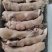 随时有货品味精品猪头肉厂家直销新鲜到家