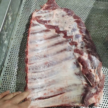 母猪肋排10块一斤