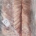 网红猪寸排12一斤