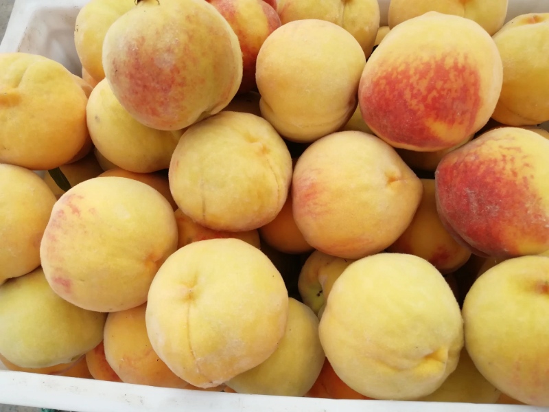 桌上摆放着由83黄桃制作的果酱和甜点,色彩鲜艳,令人垂涎 83黄桃制作的果酱与甜点