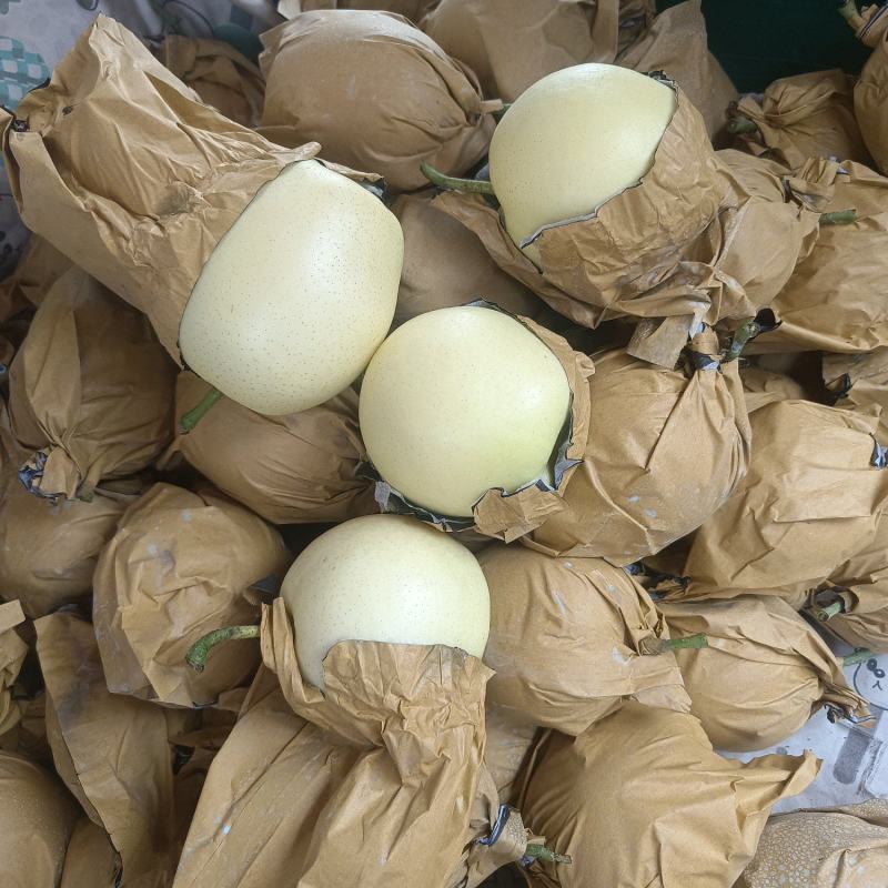 皇冠梨