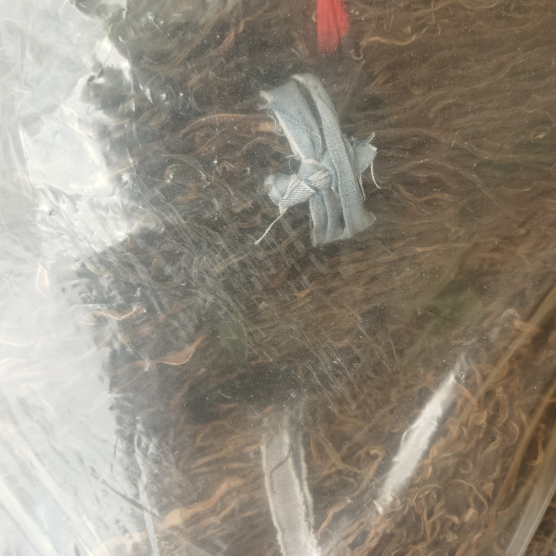 干豆角