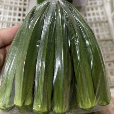 福建精品基地秋葵，当天采摘当天打包，散装小包装货源充足