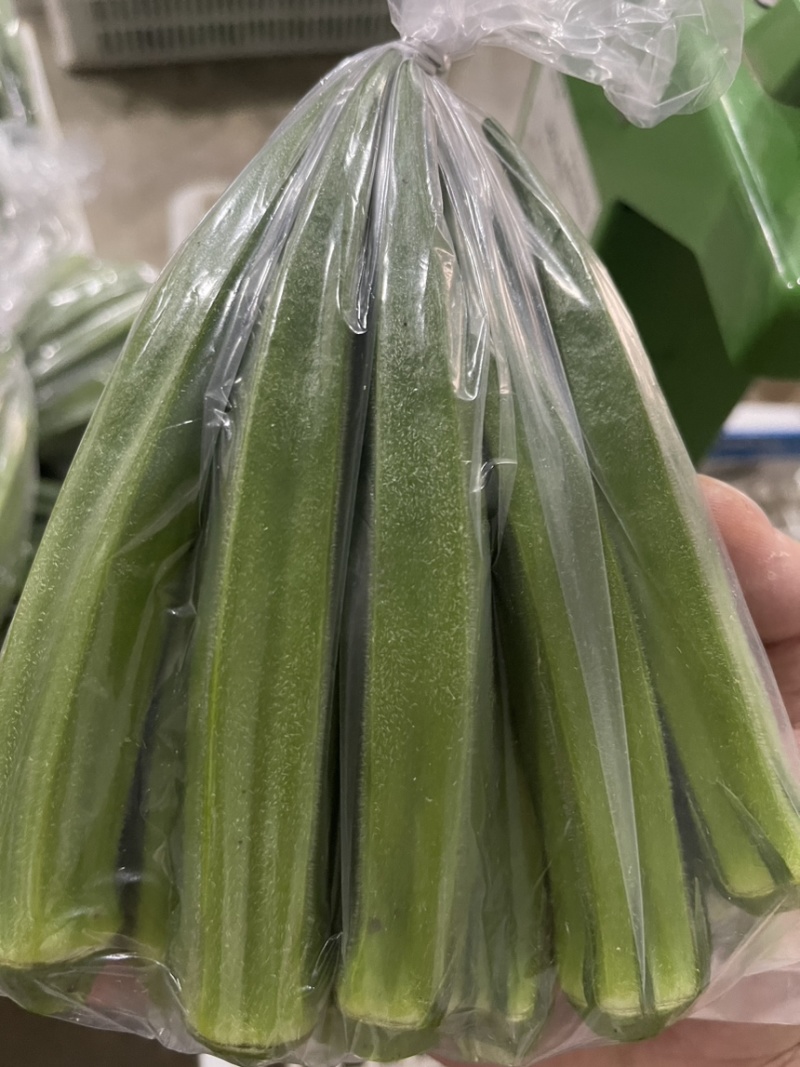 福建精品基地秋葵，当天采摘当天打包，散装小包装货源充足