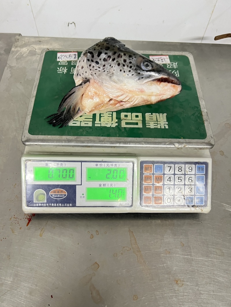 三文鱼头，450-750克/头，7800元一吨