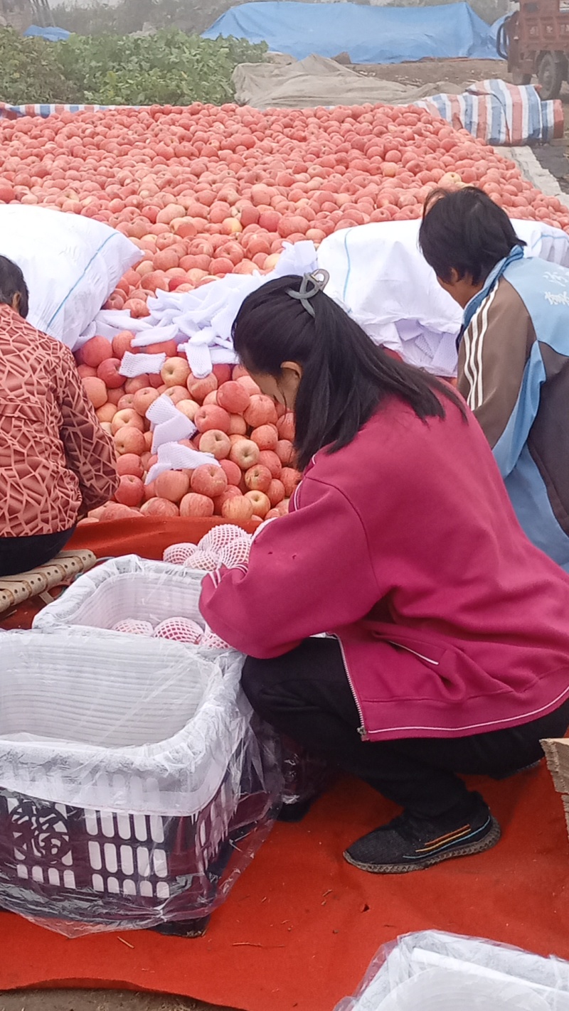 青青果业