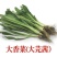 大芫荽也叫刺芫荽（大叶香菜）