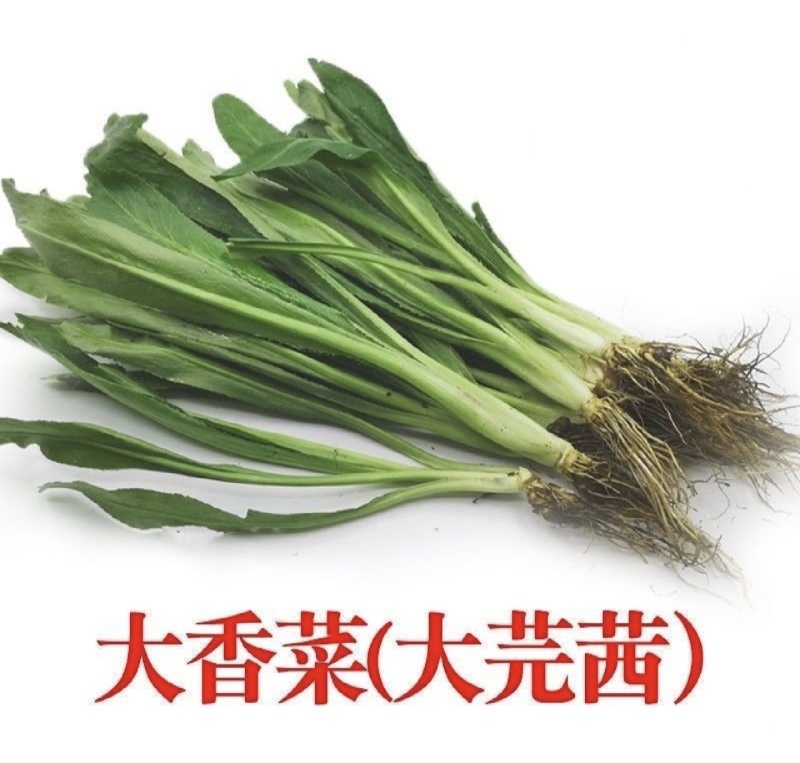 大芫荽也叫刺芫荽（大叶香菜）