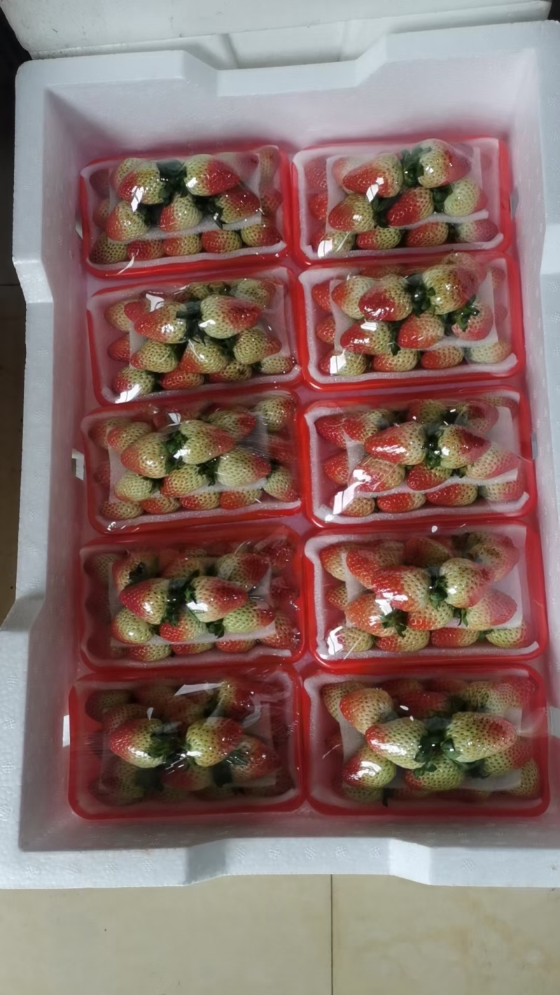 云南蒙特瑞草莓